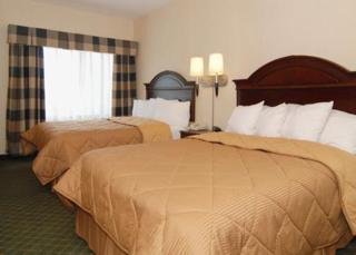 Hotel Comfort Inn