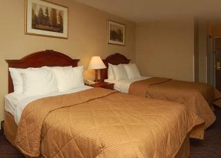 Hotel Comfort Inn