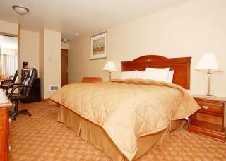 Hotel Comfort Inn
