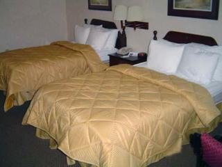 Hotel Comfort Inn