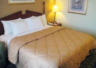 Hotel Comfort Inn