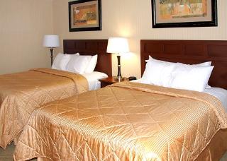Hotel Comfort Inn