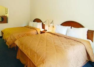Hotel Comfort Inn