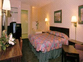 Hotel Comfort Inn Airport