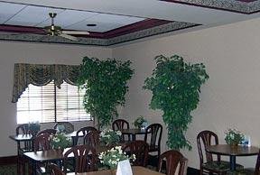 Hotel Comfort Inn Airport
