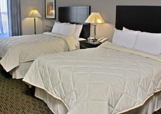 Hotel Comfort Inn Airport