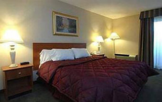 Hotel Comfort Inn Airport East
