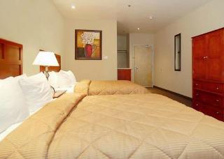 Hotel Comfort Inn At Convention Center
