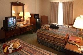 Hotel Comfort Inn At The Park