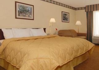 Hotel Comfort Inn Baton Rouge