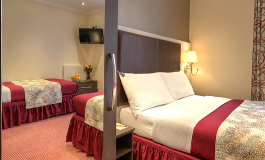 Hotel Comfort Inn Buckingham Palace