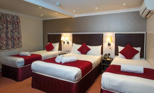 Hotel Comfort Inn Buckingham Palace