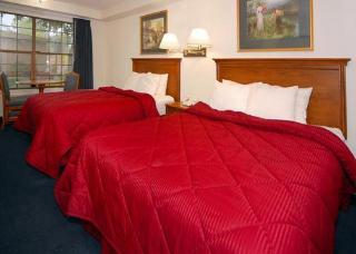 Hotel Comfort Inn Central