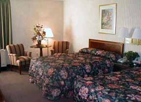Hotel Comfort Inn Central
