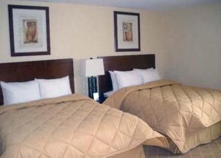 Hotel Comfort Inn Cockatoo