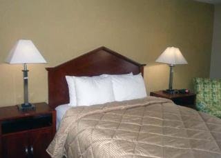 Hotel Comfort Inn Columbia South Carolina