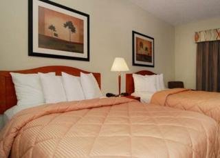 Hotel Comfort Inn Dfw North