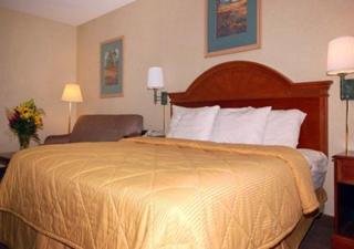 Hotel Comfort Inn Downtown Colorado Springs