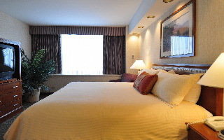 Hotel Comfort Inn Downtown Denver