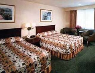 Hotel Comfort Inn Downtown-houston
