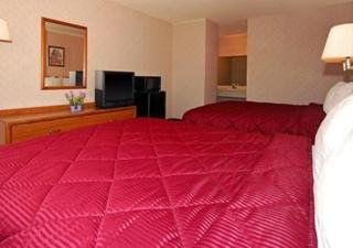 Hotel Comfort Inn Holbrook