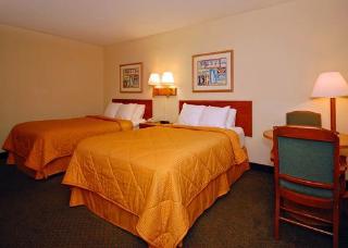 Hotel Comfort Inn I-95 North