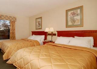 Hotel Comfort Inn Jersey Shore