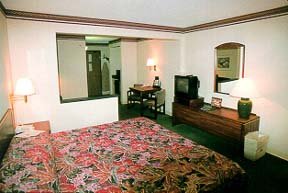Hotel Comfort Inn-lacey