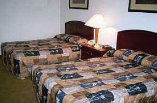 Hotel Comfort Inn Lexington