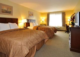 Hotel Comfort Inn Near Fairplex