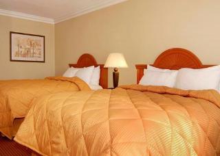Hotel Comfort Inn Near Legoland