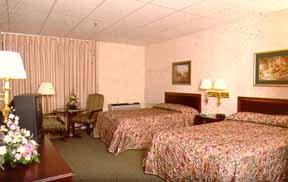 Hotel Comfort Inn North Shore