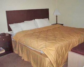 Hotel Comfort Inn O'hare