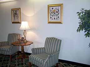Hotel Comfort Inn-rocky Mount