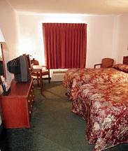 Hotel Comfort Inn-rocky Mount