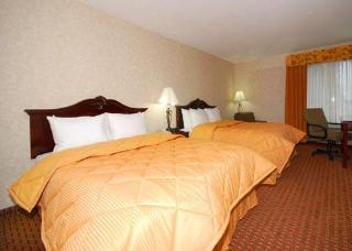 Hotel Comfort Inn Silicon Valley East