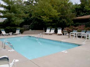 Hotel Comfort Inn South
