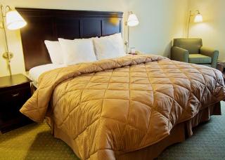 Hotel Comfort Inn & Suites