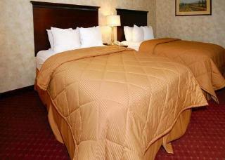 Hotel Comfort Inn & Suites