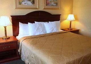 Hotel Comfort Inn & Suites