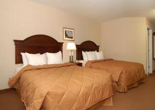 Hotel Comfort Inn & Suites