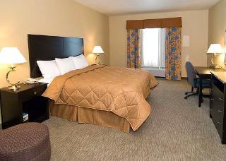 Hotel Comfort Inn & Suites