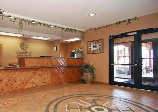 Hotel Comfort Inn & Suites
