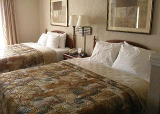 Hotel Comfort Inn & Suites
