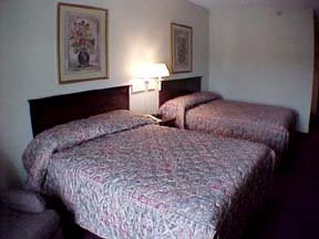 Hotel Comfort Inn & Suites