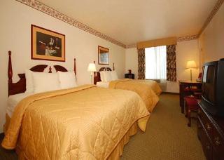 Hotel Comfort Inn & Suites