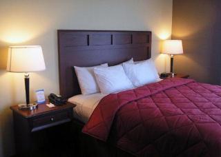 Hotel Comfort Inn & Suites