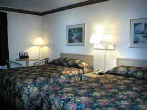 Hotel Comfort Inn & Suites