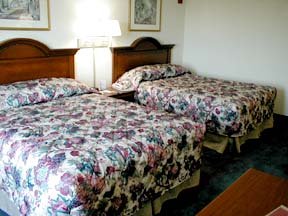 Hotel Comfort Inn & Suites