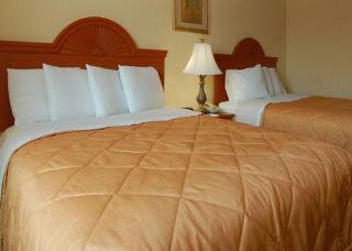 Hotel Comfort Inn & Suites